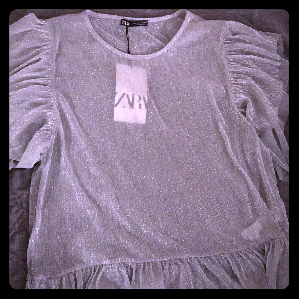 Zara Sheer Grey Glitter Shirt. Size Small
